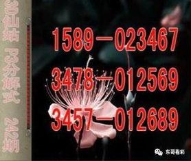 幸运28独胆,轻松掌握独中大奖的秘诀